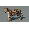 Leopard Cub 3D Model PROmax3D - 8