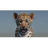 Leopard Cub 3D Model PROmax3D - 10