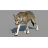 Red Wolf 3d Model Animated PROmax3D - 3