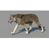 Red Wolf 3d Model Animated PROmax3D - 4