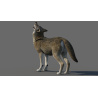 Red Wolf 3d Model Animated PROmax3D - 6