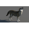 Red Wolf 3d Model Animated PROmax3D - 7