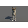 Red Wolf 3d Model Animated PROmax3D - 8