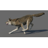 Red Wolf 3d Model Animated PROmax3D - 10