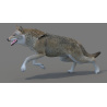 Red Wolf 3d Model Rigged PROmax3D - 4