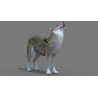 Red Wolf 3d Model Rigged PROmax3D - 5
