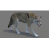 Red Wolf 3d Model Rigged PROmax3D - 7