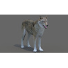 Red Wolf 3D Model PROmax3D - 2