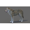 Red Wolf 3D Model PROmax3D - 3