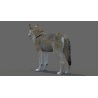 Red Wolf 3D Model PROmax3D - 5
