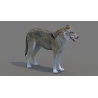 Red Wolf 3D Model PROmax3D - 6
