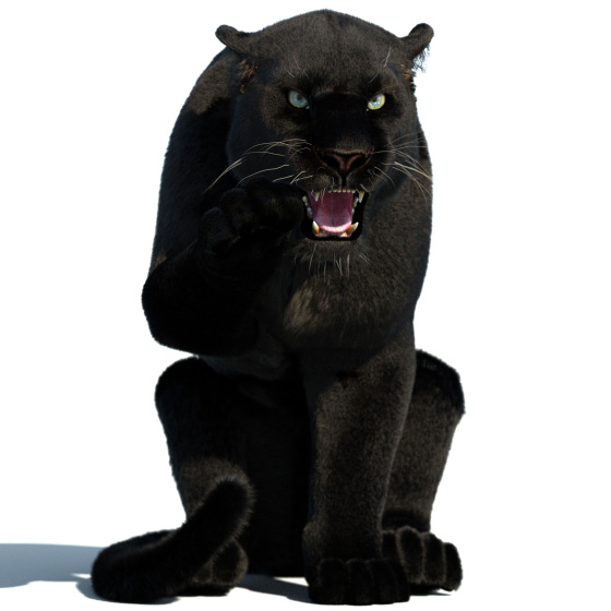 Rigged Black Panther 3D Model Fur PROmax3D - 1
