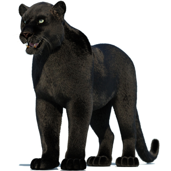 Black Panther Furry 3D Model PROmax3D - 1