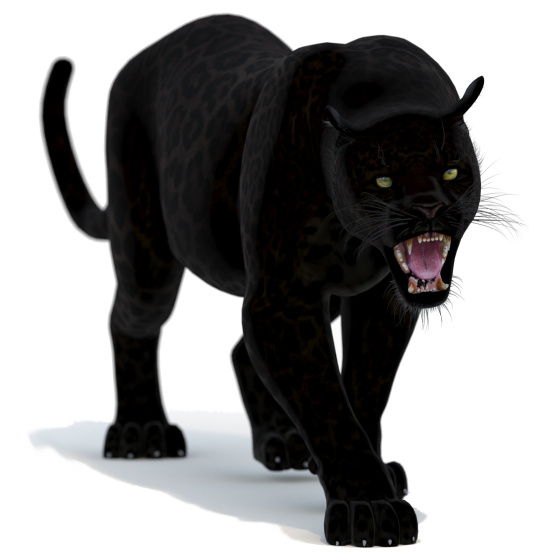 Black Panther 3d Model Animated PROmax3D - 1