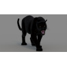 Black Panther 3d Model Animated PROmax3D - 3