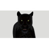 Black Panther 3d Model Animated PROmax3D - 12
