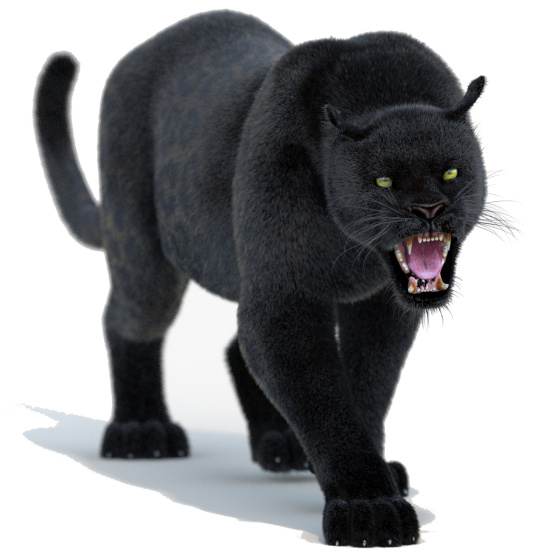 Black Panther Animated Fur 3d Model PROmax3D - 1
