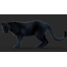 Black Panther Animated Fur 3d Model PROmax3D - 4