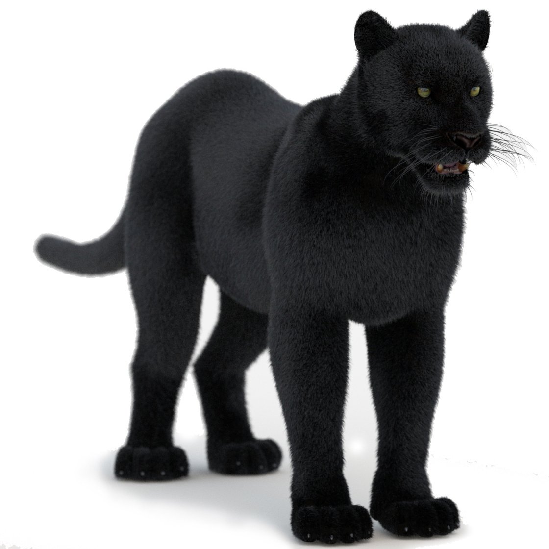 Furry Black Panther 3D Model PROmax3D - 1