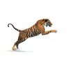 Tiger Animated 3D Model PROmax3D - 9