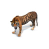 Tiger Animated 3D Model PROmax3D - 10