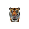 Tiger Animated 3D Model PROmax3D - 13
