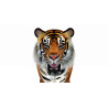 Tiger Animated 3D Model PROmax3D - 14