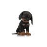 Rigged Dachshund Dog Puppy 3D Model PROmax3D - 2