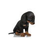 Rigged Dachshund Dog Puppy 3D Model PROmax3D - 3