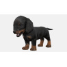 Rigged Dachshund Dog Puppy 3D Model PROmax3D - 7