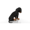 Rigged Dachshund Dog Puppy 3D Model PROmax3D - 8