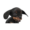 Rigged Dachshund Dog Puppy 3D Model PROmax3D - 10