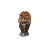 Leopard Animated Fur 3D Model PROmax3D - 3