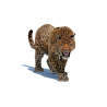 Leopard Animated Fur 3D Model PROmax3D - 2