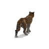 Leopard Animated Fur 3D Model PROmax3D - 6