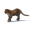 Leopard Animated Fur 3D Model PROmax3D - 8