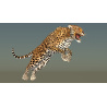 Leopard Animated 3D Model PROmax3D - 5