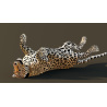 Leopard Animated 3D Model PROmax3D - 8