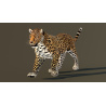 Leopard Animated 3D Model PROmax3D - 9