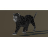 Leopard Animated 3D Model PROmax3D - 11