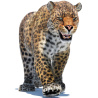 Leopard 3D Model Animated Fur PROmax3D - 1