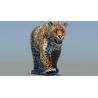 Leopard 3D Model Animated Fur PROmax3D - 2