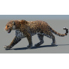 Leopard 3D Model Animated Fur PROmax3D - 3