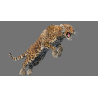 Leopard 3D Model Animated Fur PROmax3D - 5