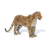 Leopard 3D Model Animated Fur PROmax3D - 10