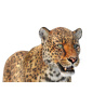 Leopard 3D Model Animated Fur PROmax3D - 12