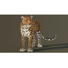 Leopard Rigged 3D Model PROmax3D - 2