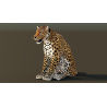 Leopard Rigged 3D Model PROmax3D - 3