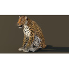 Leopard Rigged 3D Model PROmax3D - 7