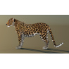 Leopard Rigged 3D Model PROmax3D - 8